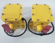 防撕裂開關(guān)ZL2-B-II-1000-35°縱向撕裂開關(guān) 防撕裂開關(guān)ZL2-B-II-1000-35°縱向撕裂開關(guān)