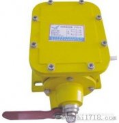 THZL-B-II縱向撕裂開(kāi)關(guān)，撕裂檢測(cè)裝置，批發(fā)工程案例
