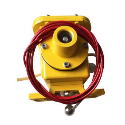 JYB-DQYC-Z撕裂控制箱耐腐蝕、JYB-GDZL-Z-A光電檢測(cè)縱向撕裂保護(hù)裝置生產(chǎn)